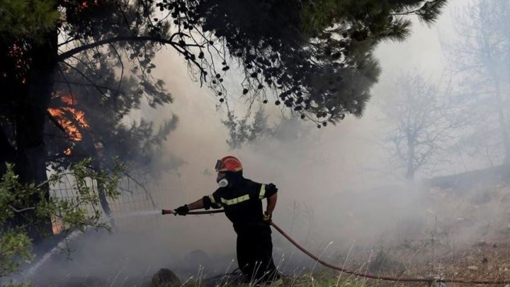 Τι "δείχνει" το πόρισμα για την καταστροφική πυρκαγιά το καλοκαίρι στον Κάλαμο