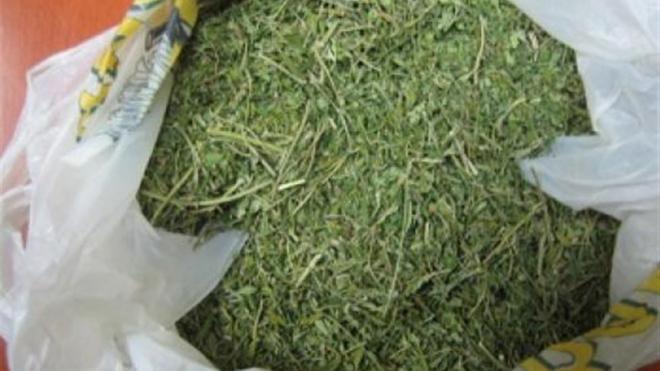 Ηλεία: Ο σκύλος της ΕΛ.ΑΣ "μύρισε" ένα κιλό κάνναβης - Μια σύλληψη