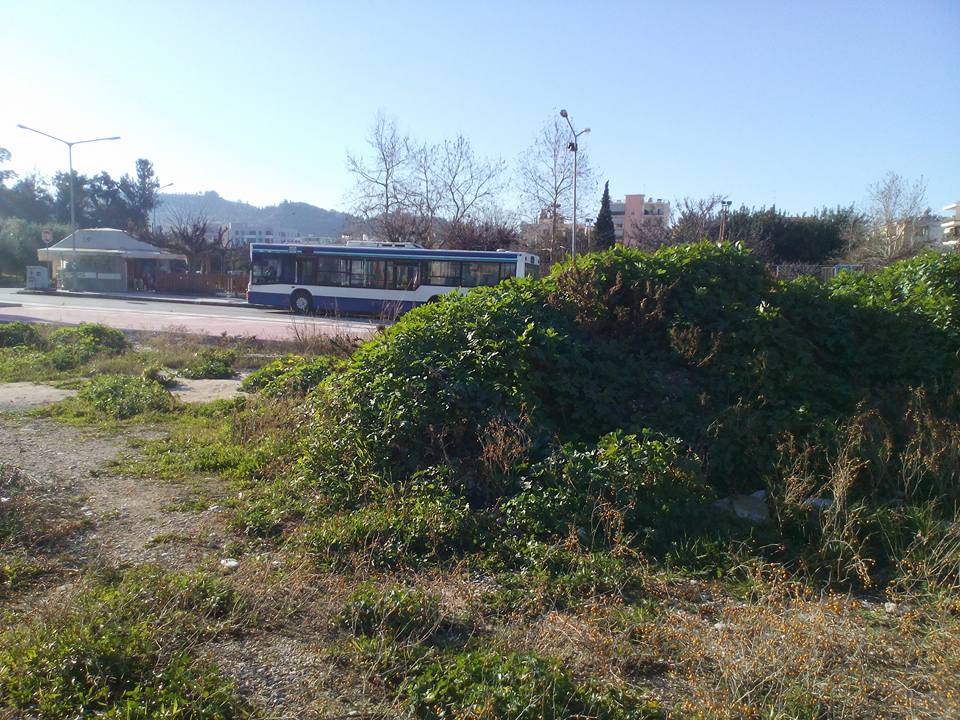 Πάτρα: Από το καλοκαίρι του 2017 περιμένουν να δουν πλατεία αλλά έγινε... "ζούγκλα"! Υγειονομική "βόμβα" δίπλα σε σχολείο και παιδική χαρά στην Αγυιά! "Πατάμε πάνω σε περιττώματα" - ΦΩΤΟΓΡΑΦΙΕΣ