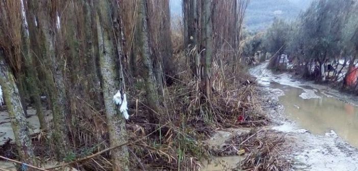 Γεννηματά: "Προτάσεις όπως αυτές του Νίμιτς πρέπει να απορριφθούν"