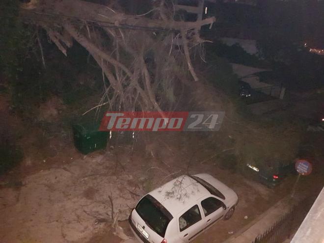 Πάτρα: Πτώση δένδρου τα ξημερώματα - Κατέληξε σε Ι.Χ - Κλειστός ο δρόμος - ΦΩΤΟ