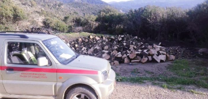 Αιτωλοακαρνανία: Στοιχεία – «φωτιά» για τη λαθροϋλοτομία!