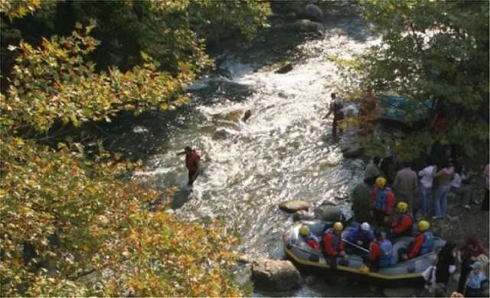 Εγκλωβισμένη κάτω από κορμούς δέντρων, βρέθηκε η άτυχη γυναίκα, μητέρα δύο παιδιών που έχασε τη ζωή της στο Λάδωνα