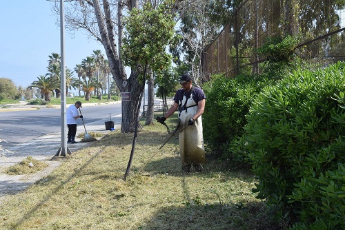 Πάτρα: Συνεχίζεται το κλάδεμα δένδρων και ο καλλωπισμός περιοχών από το Δήμο - ΔΕΙΤΕ ΠΟΥ