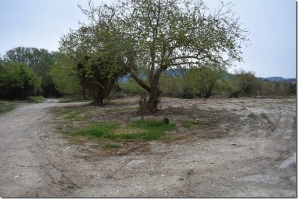 Πού είναι το πλατανόδασος που θα γίνει το νέο πάρκο της Πάτρας- Η ιστορία της έκτασης και οι αλλαγές που θα το μετατρέψουν σε "πνεύμονα" αναψυχής