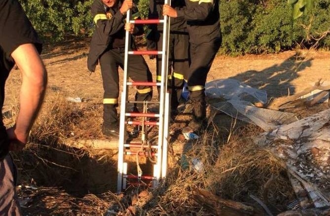 Πάτρα: Έβγαλε γατάκι από πηγάδι 10 μέτρων η 6η ΕΜΑΚ