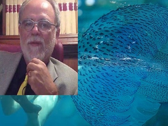 Επιστήμονας αναλύει εφιαλτικό σενάριο: "Οι μέδουσες θα αντικαταστήσουν τα ψάρια"