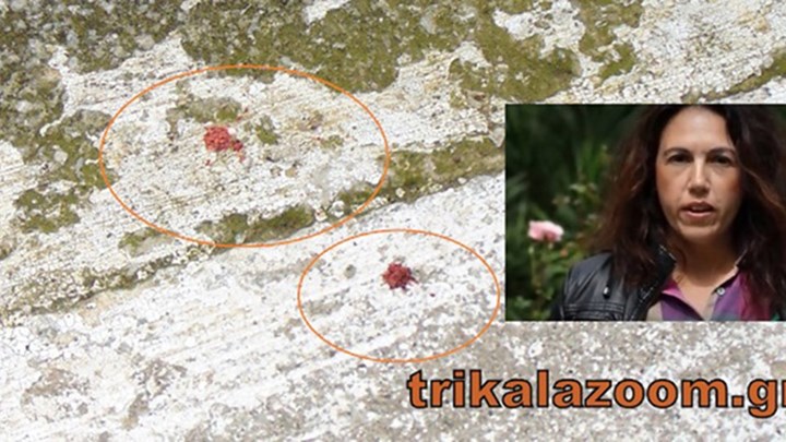 Έσφαξε τη γυναίκα και μητέρα των τριών παιδιών τους μπροστά στα μάτια της κόρης τους - ΒΙΝΤΕΟ