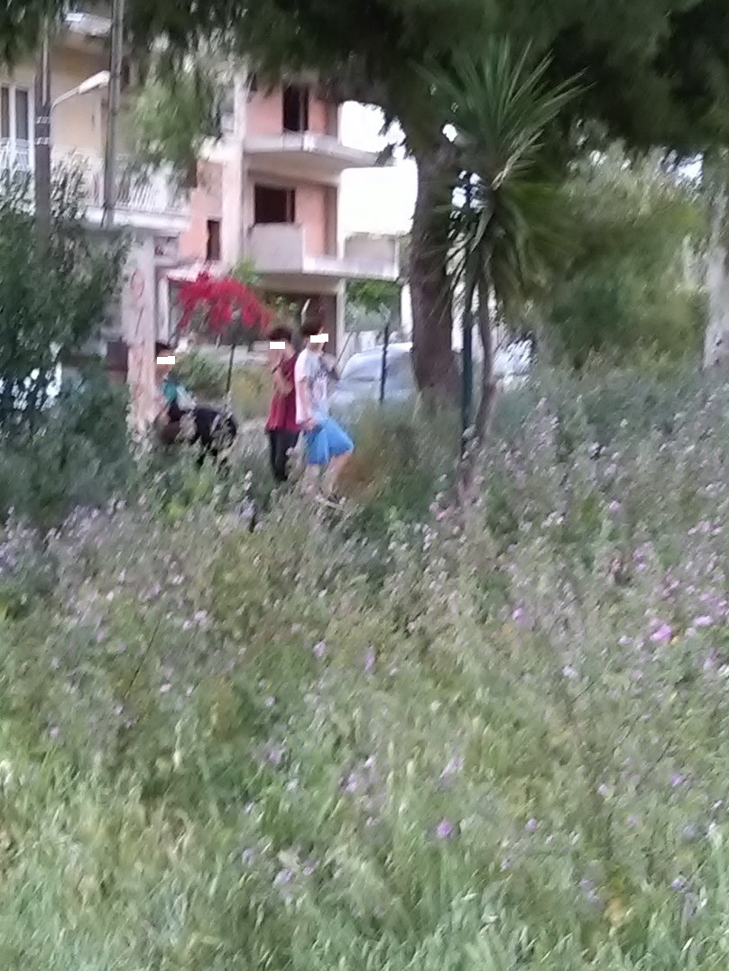 Πάτρα: Πλατείες και δρόμοι "ζούγκλα" στα Κρύα Ιτεών - Παιδιά περπατούν στο δρόμο προς το σχολείο ελέω χόρτων - ΦΩΤΟ