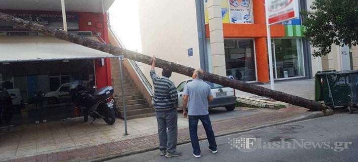 Κολώνα της ΔΕΗ έπεσε πάνω σε διαμέρισμα στα Χανιά