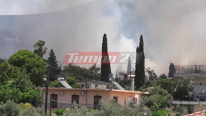 Πάτρα: ΝΕΟΤΕΡΑ -Φωτιά στην Εγλυκάδα - Επεκτείνεται προς την Περιμετρική - "Δεν μπορούμε να αναπνεύσουμε", φωνάζουν οι κάτοικοι - "Δεν μπορούμε να επέμβουμε", διαμαρτύρονται οι εθελοντές - ΒΙΝΤΕΟ - ΦΩΤΟ