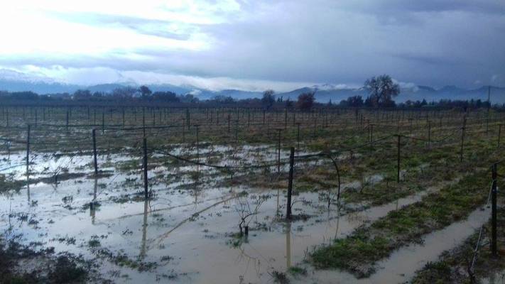 Στον ΕΛΓΑ για τις καταστροφές από τις πλημμύρες, οι αγρότες της δυτικής Αχαΐας - Εκατοντάδες στρέμματα χάθηκαν στη λάσπη