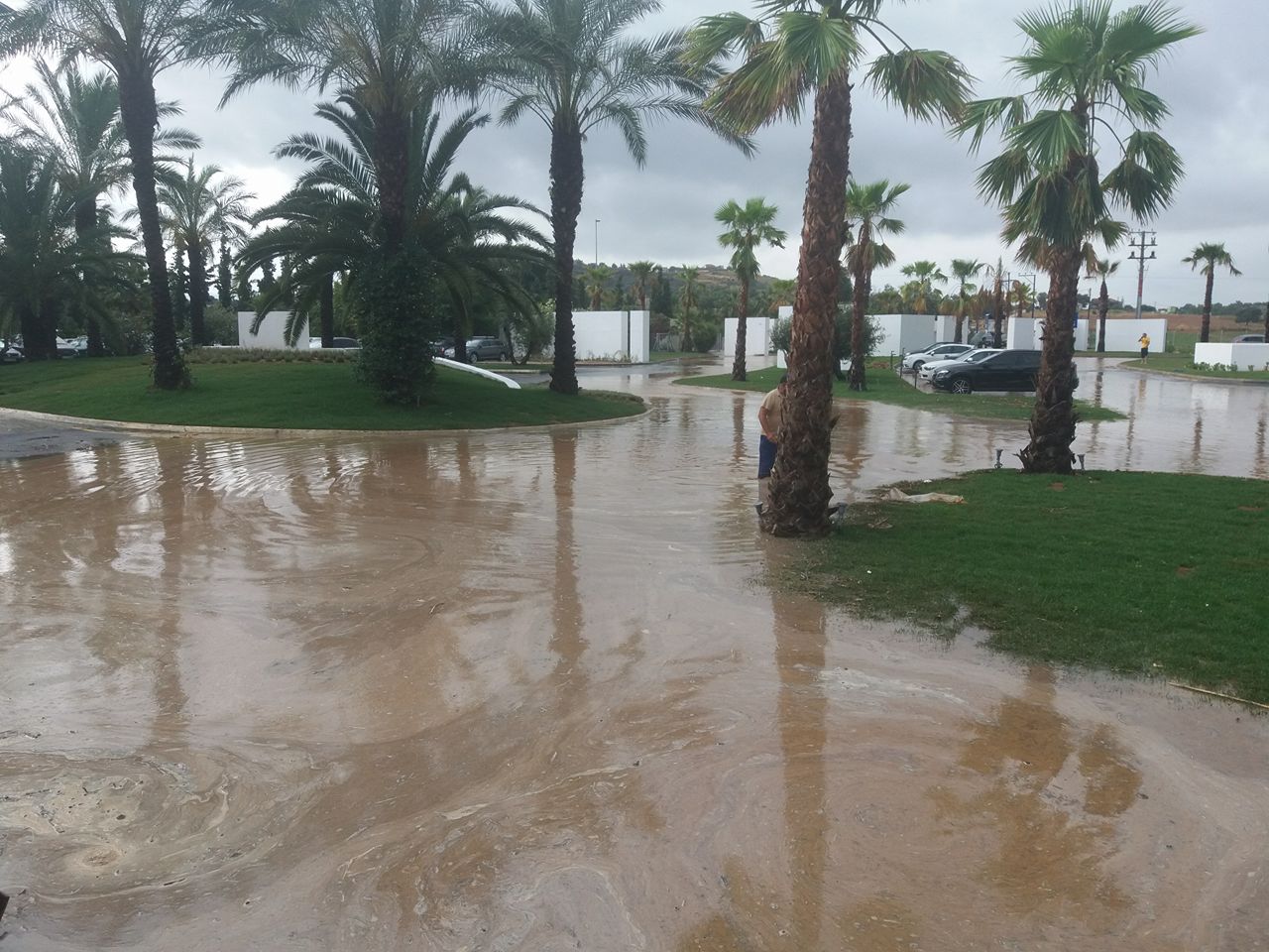 Πάλι σε … περιπέτειες οι αγρότες της δυτικής Αχαΐας – Μεγάλες οι καταστροφές από το καλοκαιρινό μπουρίνι