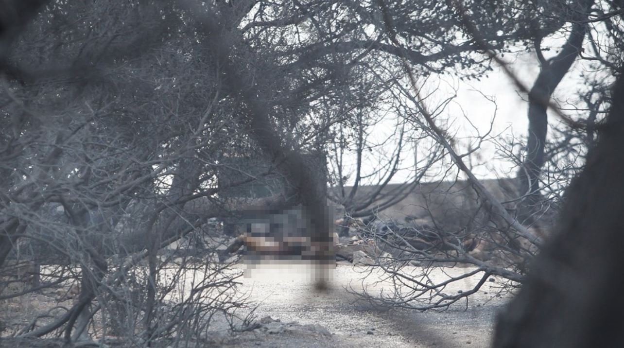 Οι πρώτες εικόνες από την "κόλαση" με τους 26 νεκρούς στη Ραφήνα - ΦΩΤΟ