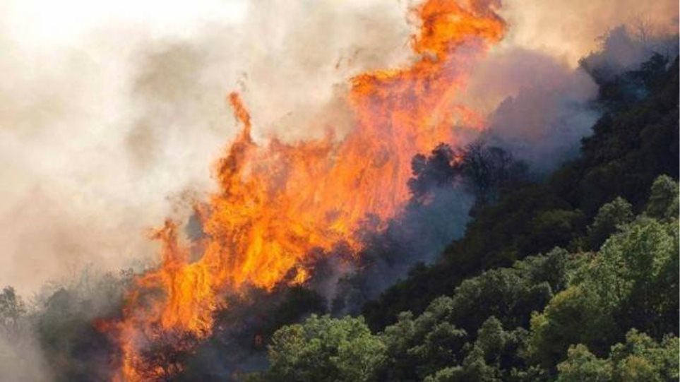 Συναγερμός στην Κρήτη: Μεγάλη φωτιά στο Λασίθι