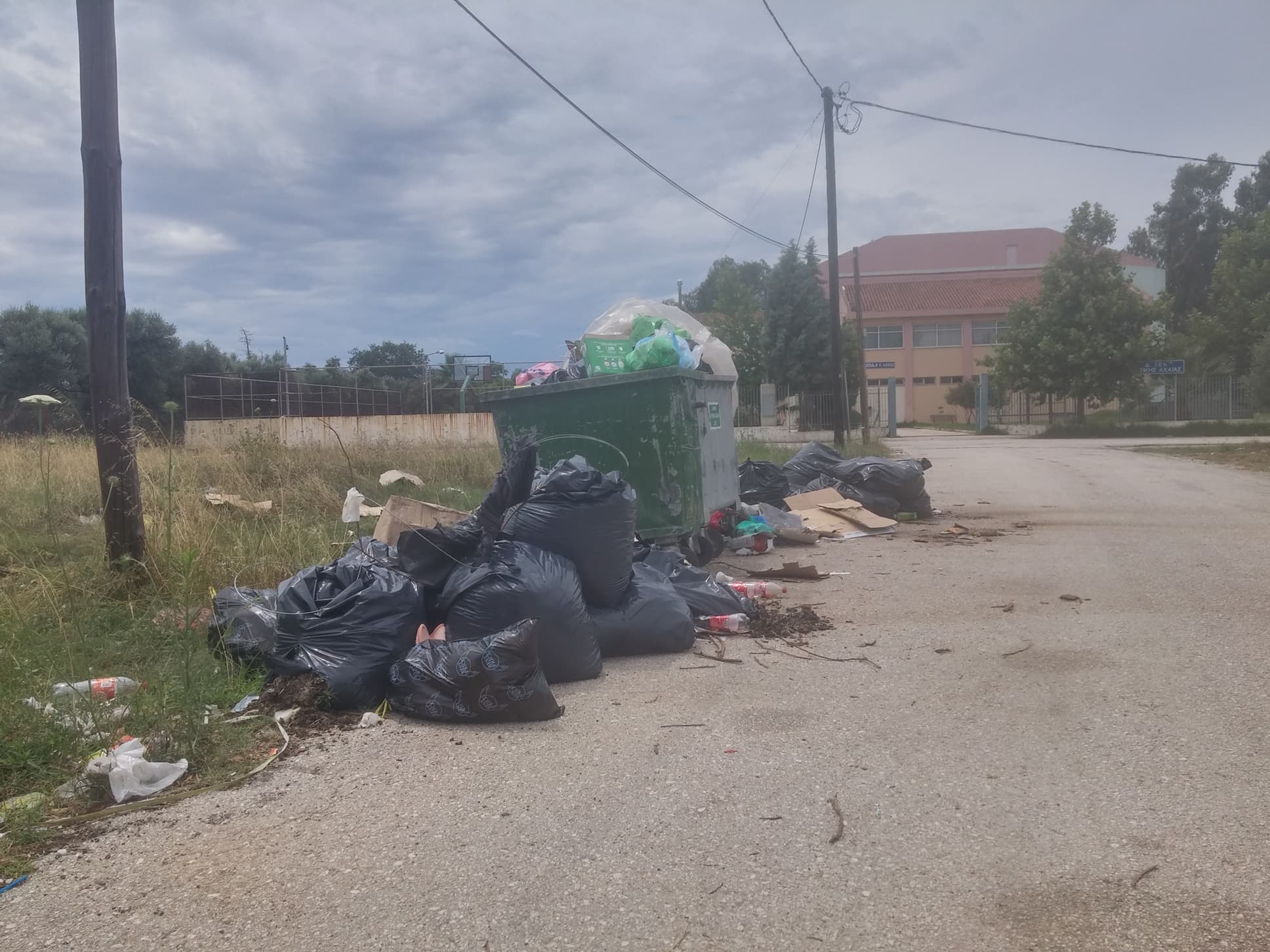Κάτω Αχαΐα: Ψόφια ζώα και εντόσθια σε κάδο απορριμμάτων δίπλα από σχολείο! ΦΩΤΟ