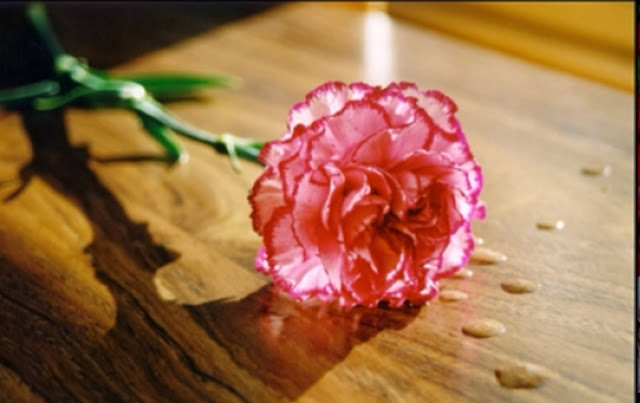 Πένθος στην Πάτρα και την επιχειρηματική οικογένεια του Εντελβάις - "Έσβησε" στα 49 του ο Γιώργος Μιχαλόπουλος