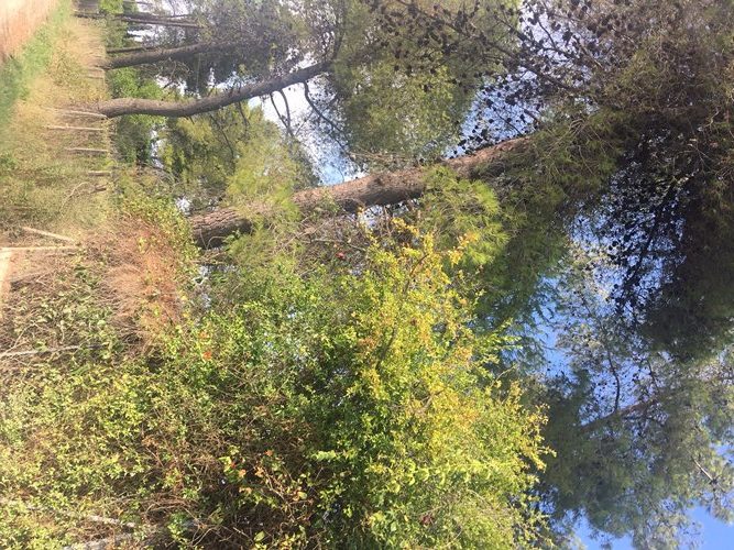 Δυτική Αχαΐα: Στον Εισαγγελέα για τα ακαθάριστα οικόπεδα - "Μη γίνουμε Μάτι..."