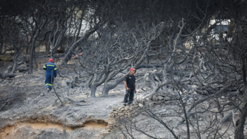 Οδηγίες από το υπ. Υγείας για τις πυρόπληκτες περιοχές: Δείτε τι να προσέχετε
