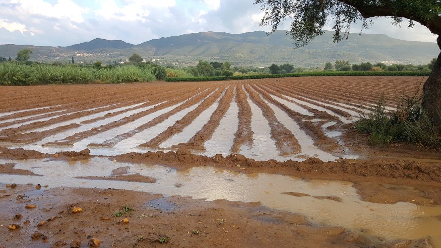 "Λίμνες" δρόμοι και καλλιέργειες στη δυτική Αχαΐα - "Αν συνεχίσει η κακοκαιρία καταστραφήκαμε", λένε οι παραγωγοί