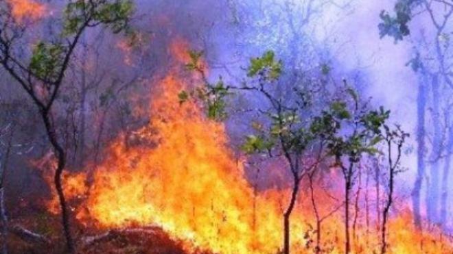 ΕΟΠΥΔ Βραχναιϊκων: Η φωτιά σε αφορά - Παιχνίδι με τα παιδιά - ΒΙΝΤΕΟ