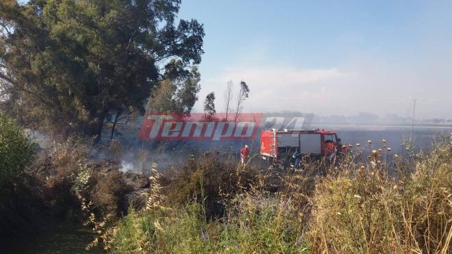 Δυτική Αχαΐα: ΤΩΡΑ - Υπό έλεγχο η φωτιά στα Νιφορέικα - Είχε "φουντώσει" και άλλη φορά η ίδια περιοχή - ΝΕΟΤΕΡΑ