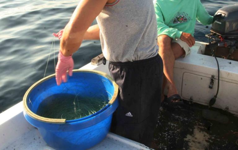 Γαύδος: Άρχισε να μαζεύει το παραγάδι και προσπαθούσε να πιστέψει στα μάτια του – Η ψαριά της ζωής του