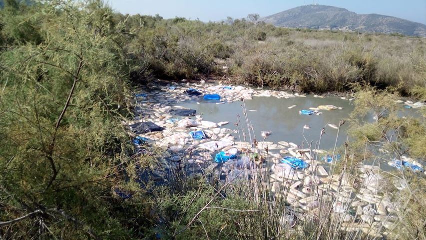 Aπίστευτες εικόνες: Ληγμένα ψωμιά πεταμένα στον υγροβιότοπο του Αράξου!