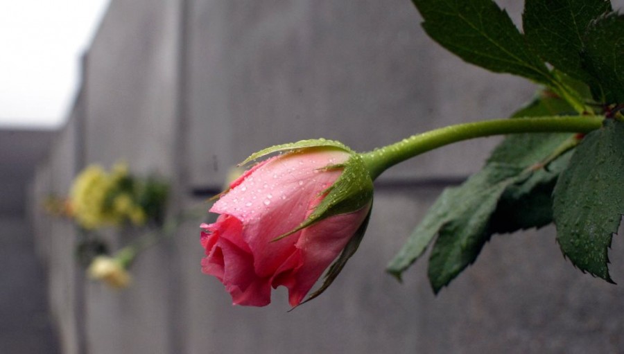 Πάτρα: Νέο χτύπημα για την οικογένεια Ραβαζούλα- Μετά την ξαφνική απώλεια της κόρης, έφυγε και η μητέρα της Μαρία- Στέλλα