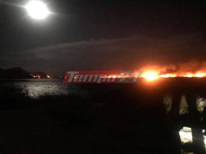 Αχαΐα: Υπό έλεγχο η φωτιά στη Στροφυλιά - Σε επιφυλακή η πυροσβεστική - Το tempo24.gr από τη πρώτη στιγμή στο σημείο - ΦΩΤΟ - ΒΙΝΤΕΟ