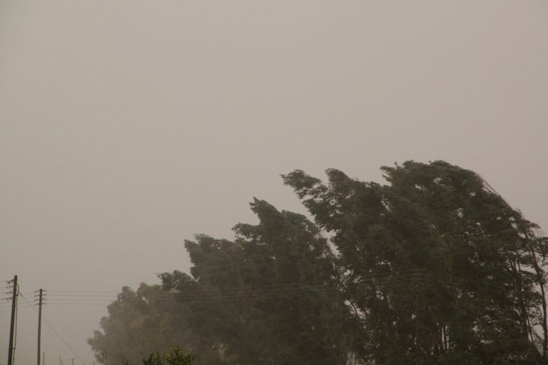 Ο καιρός σήμερα στην Πάτρα - Ριπές ανέμου 90χλμ την ώρα - ΠΡΟΓΝΩΣΗ