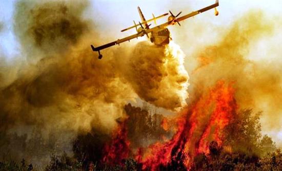 Αχαΐα: Υπό πλήρη έλεγχο η φωτιά στον Άραξο - Λουόμενοι έβλεπαν να γεμίζουν τα αεροσκάφη στην Καλόγρια - ΒΙΝΤΕΟ