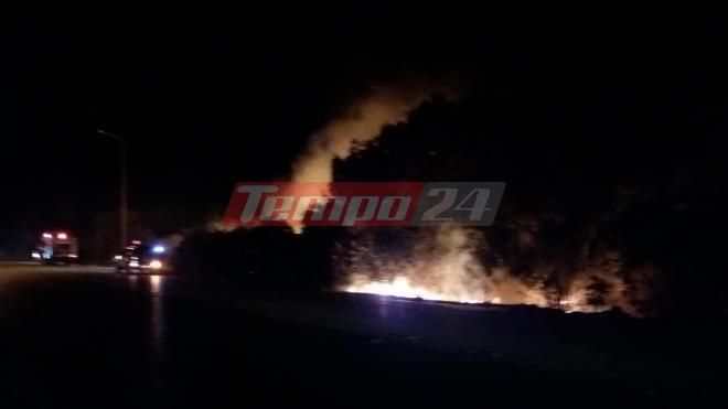 Φωτιά στο πρανές του δρόμου από Γομοστό προς Καρέικα- Ξανά στο πόδι η Δυτική Αχαία- ΦΩΤΟ- ΒΙΝΤΕΟ