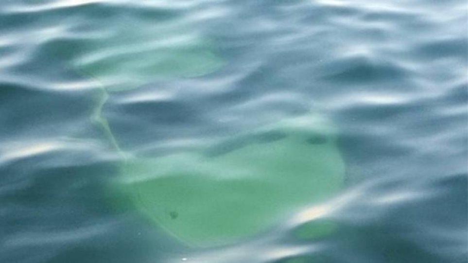 Θεσσαλονίκη: Αυτοκίνητο έπεσε στον Θερμαϊκό - Ένας τραυματίας