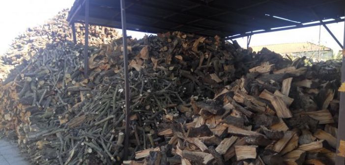 Αιτωλοακαρνανία: Μάστιγα για τους εμπόρους καυσόξυλων η λαθροϋλοτομία