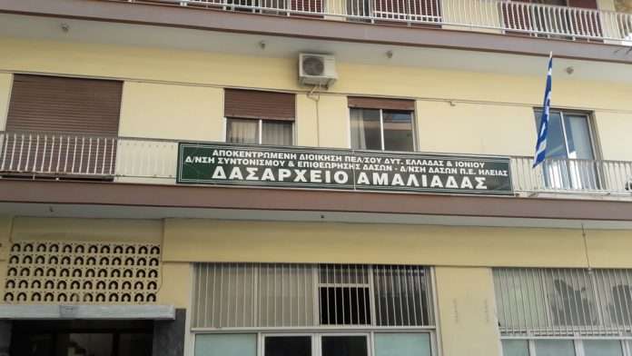 Δασαρχείο Αμαλιάδας: Δεν έχουν ούτε για καύσιμα