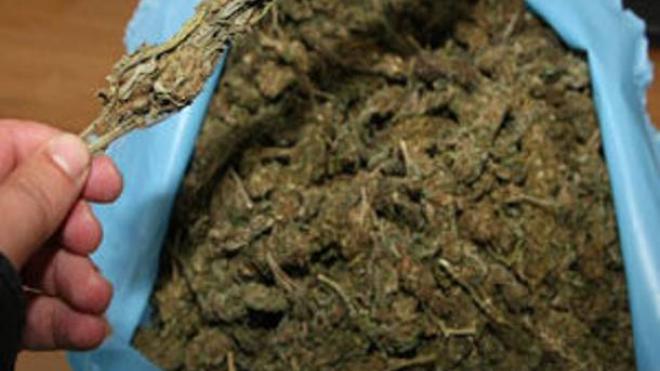 Δυτική Αχαΐα: Γυναίκα εντόπισε κοντά στο σπίτι της κάνναβη 209 γραμμαρίων