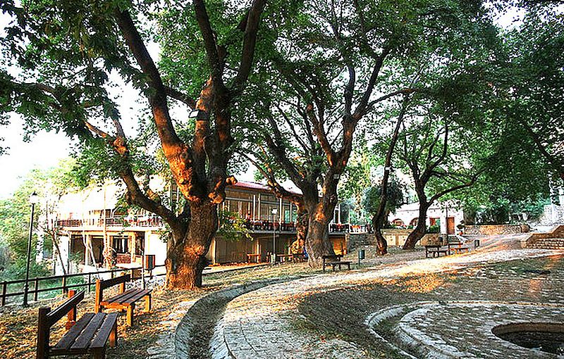 Πάτρα: Θλίψη για τον Λευτέρη Αγγελόπουλο, ιδιοκτήτη της ταβέρνας «Κεφαλόβρυσο»