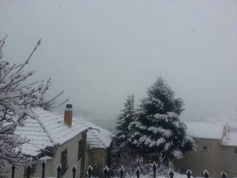 "Το 'στρωσε" στην Χαλανδρίτσα! ΒΙΝΤΕΟ