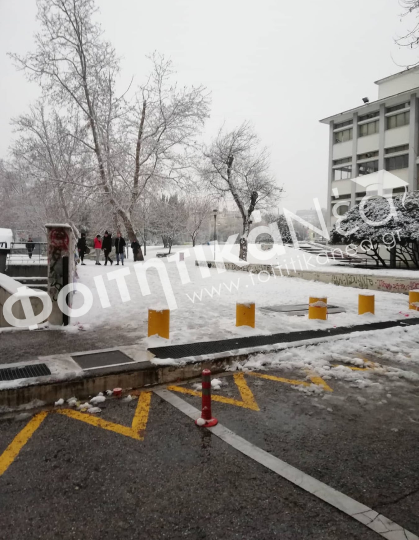 Φοιτητής πήγε να βγάλει φωτογραφία το χιονισμένο ΑΠΘ και δέχθηκε επίθεση από εμπόρους ναρκωτικών!