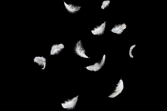 Πάτρα: Ο Νικόλαος Παναγιωτόπουλος παρουσιάζει την έκθεση του "Hunters:Feathers in the Wind"