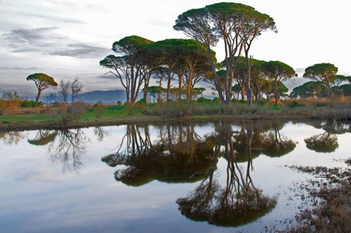 Στροφυλιά: Δασικός υπάλληλος έπεσε στη λιμνοθάλασσα του Πρόκοπου για να συλλάβει λαθροθήρες