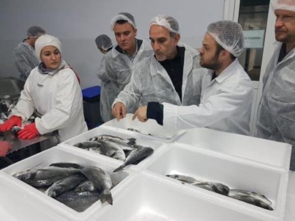 Επίσκεψη Κατσιφάρα στις ιχθυοκαλλιέργειες της Αιτωλοακαρνανίας