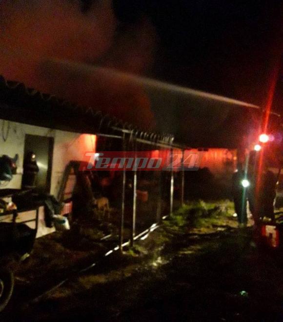 Αχαΐα: Παρανάλωμα αποθήκη τα ξημερώματα - Κάηκαν ζώα - ΦΩΤΟ