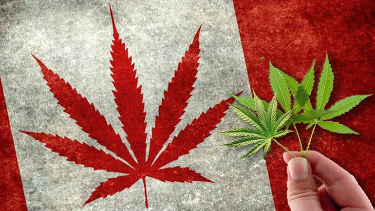 Καναδάς: Οι φίλοι της κάνναβης γιόρτασαν την πρώτη επέτειο από τη νομιμοποίηση της χρήσης της