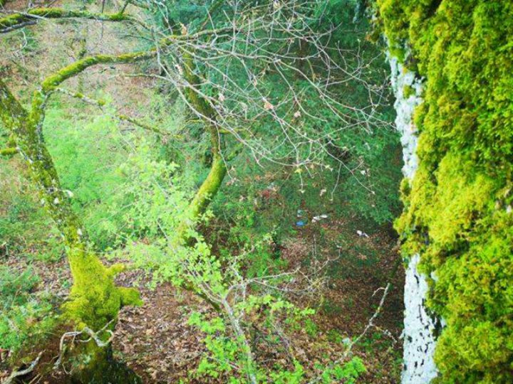 Το μήνυμα του υποψηφίου Δημάρχου Νίκου Παπαδημάτου για την Πρωτομαγιά