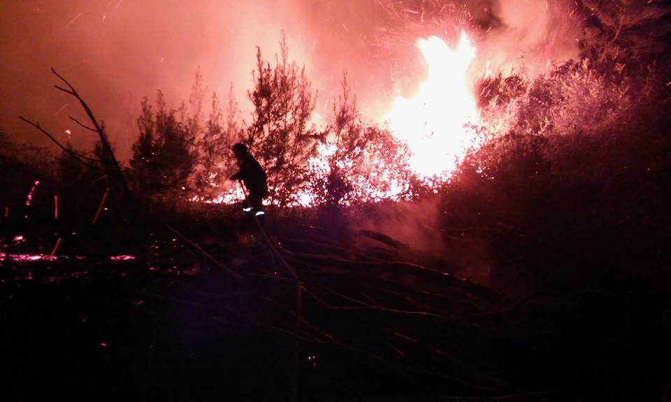 Καταγγελία της ΟΙΚΙΠΑ - "Οι εμπρηστές της Στροφυλιάς έχουν ονοματεπώνυμο"