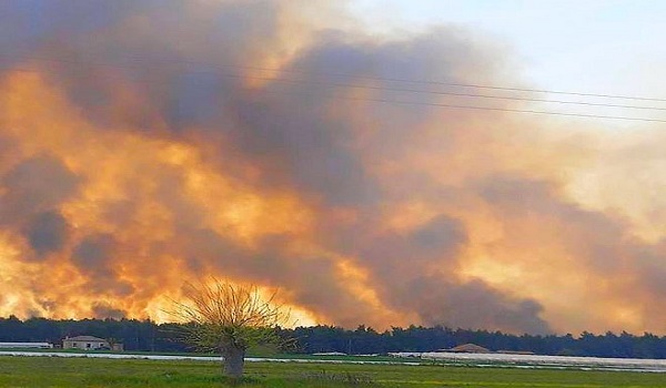 Στροφυλιά: Η πρόγνωση για την εξέλιξη της πυρκαγιάς μέσω του προγράμματος IRIS - ΒΙΝΤΕΟ