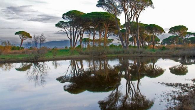 Γιατί το δάσος της Στροφυλιάς αποτελεί μία από τις 29 προστατευόμενες περιοχές της Ελλάδας