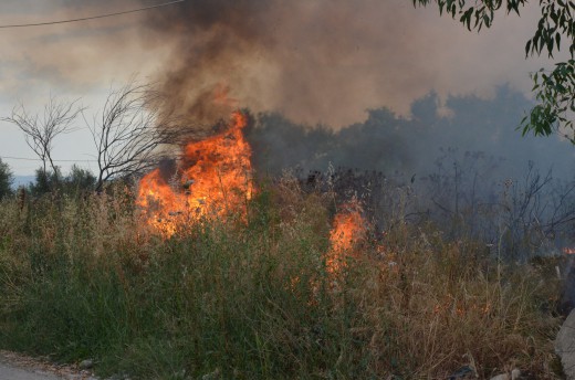 Ηλεία:Υπο έλεγχο η πυρκαγιά στο Μαζαράκι (ΝΕΟΤΕΡΟ)